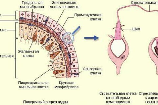 Актуальные ссылки на кракен тор