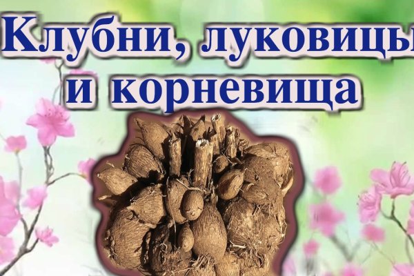 Почему не работает сайт кракен