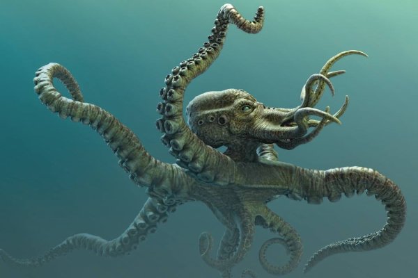 Kraken 25at